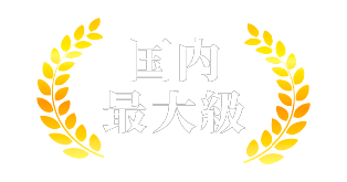 国内最大級